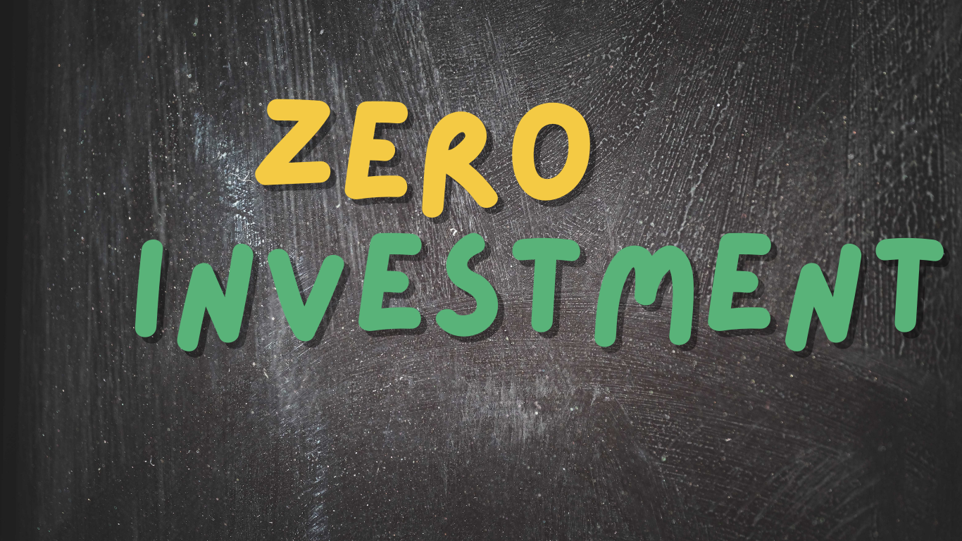 Zero Investment Business